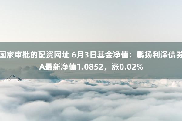 国家审批的配资网址 6月3日基金净值：鹏扬利泽债券A最新净值1.0852，涨0.02%