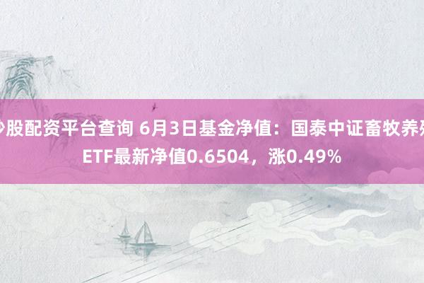 炒股配资平台查询 6月3日基金净值：国泰中证畜牧养殖ETF最新净值0.6504，涨0.49%