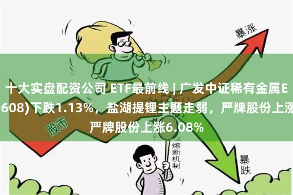 十大实盘配资公司 ETF最前线 | 广发中证稀有金属ETF(159608)下跌1.13%，盐湖提锂主题走弱，严牌股份上涨6.08%