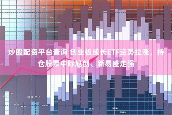 炒股配资平台查询 创业板成长ETF逆势拉涨，持仓股票中际旭创、新易盛走强