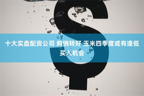 十大实盘配资公司 购销转好 玉米四季度或有逢低买入机会