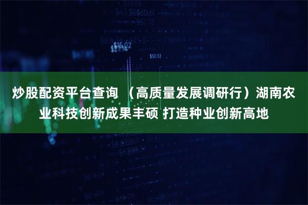 炒股配资平台查询 （高质量发展调研行）湖南农业科技创新成果丰硕 打造种业创新高地